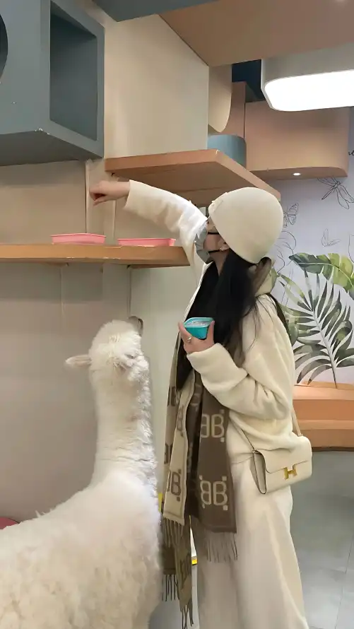 2020国产成人精品视频_跟哺乳期少妇做过爱_免费的AV网站在线观看国产精品